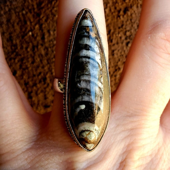 New Unique Orthoceras Fossil 925 Silver Statement Ring. - Picture 2 of 10